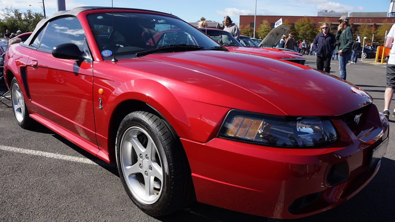 australian converted mustang